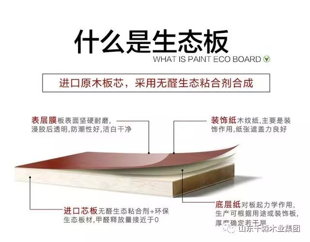 安室美惠无醛防水生态家具板,环保健康更任性!