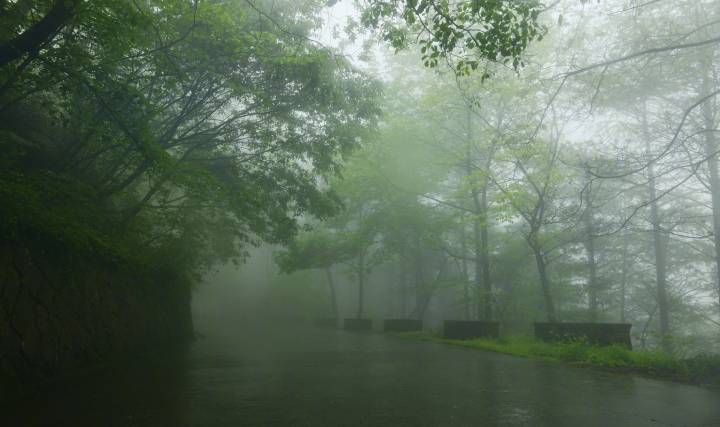 山路元无雨,空翠湿人衣。|山路_新浪新闻