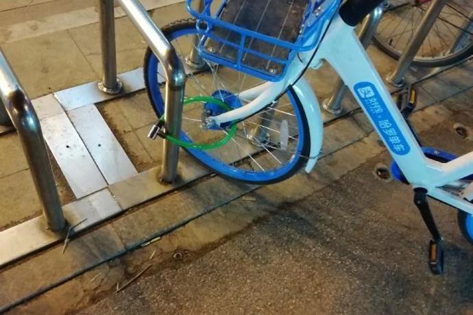 沈阳共享单车现状!一个字 惨!