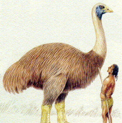 5吨, 下的蛋是鸡蛋的160倍