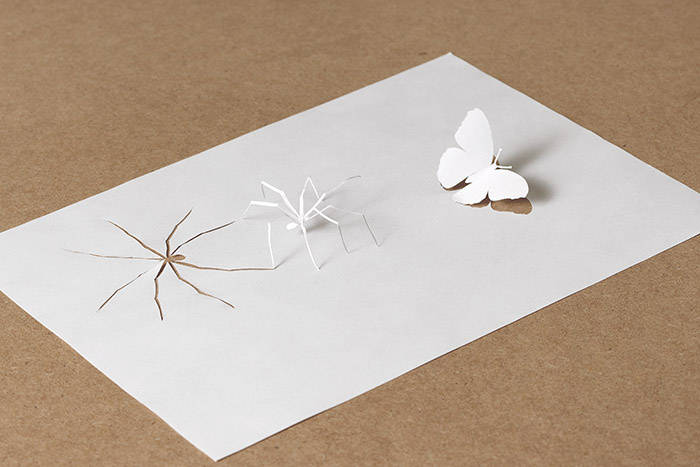 用a4纸创作的艺术作品 / peter callesen