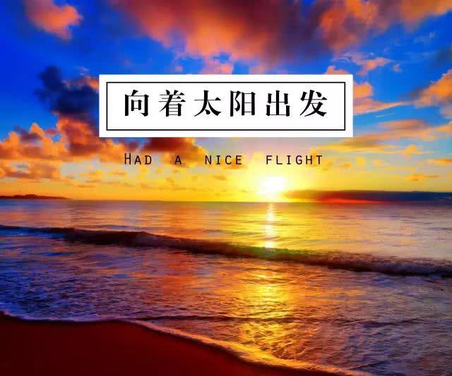 中小学教师资格证《综合素质》第八章!