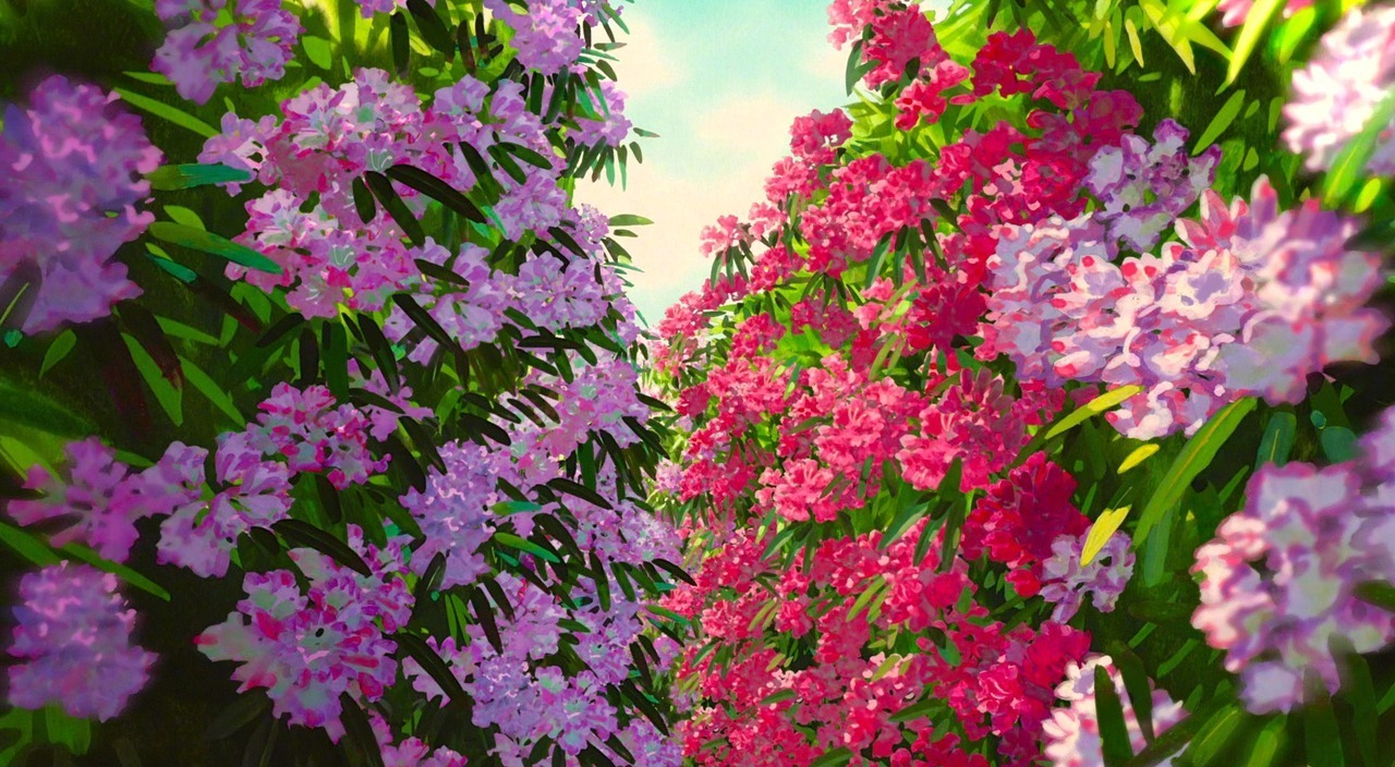 宫崎骏电影里的花