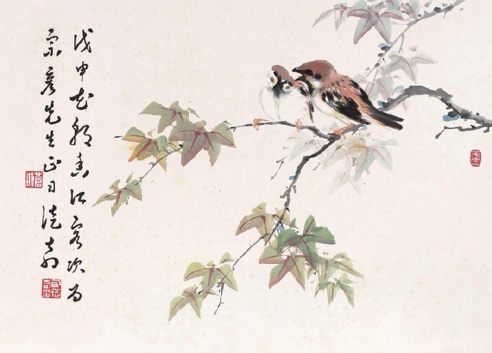 司徒奇 · 花鸟欣赏 …|花鸟|司徒奇_新浪新闻