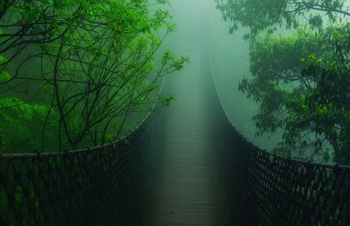 山路元无雨,空翠湿人衣。|山路_新浪新闻