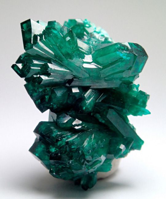 祖母绿色的矿物:透视石dioptase,是一种含水的铜硅酸盐
