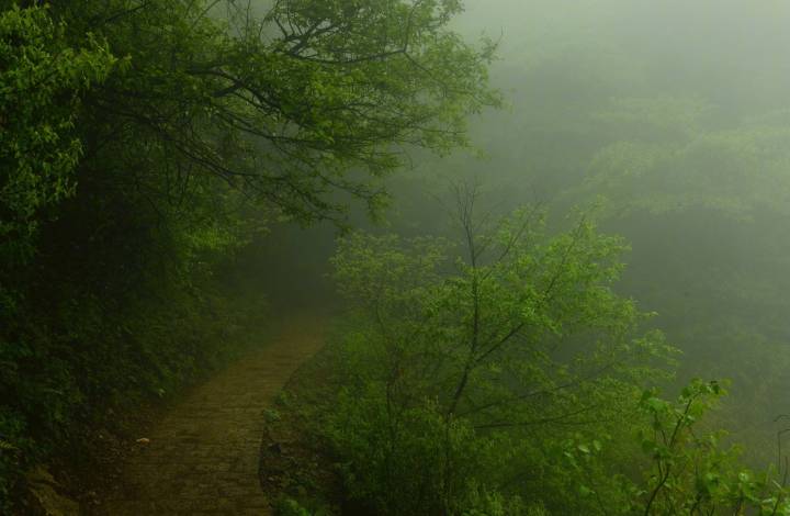 山路元无雨,空翠湿人衣。|山路_新浪新闻