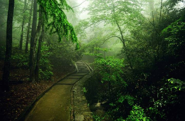 山路元无雨,空翠湿人衣。