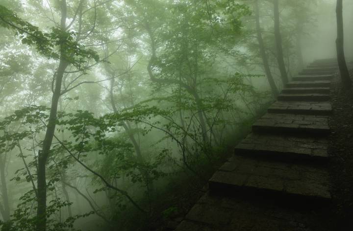 山路元无雨,空翠湿人衣。|山路_新浪新闻