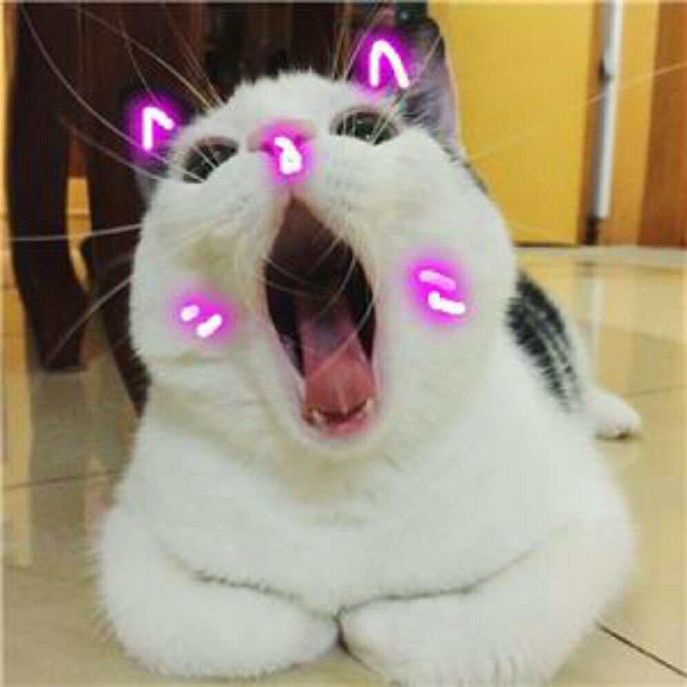 表情包279哈欠卖萌haha捏脸调皮生无可恋大辣佬的走姿