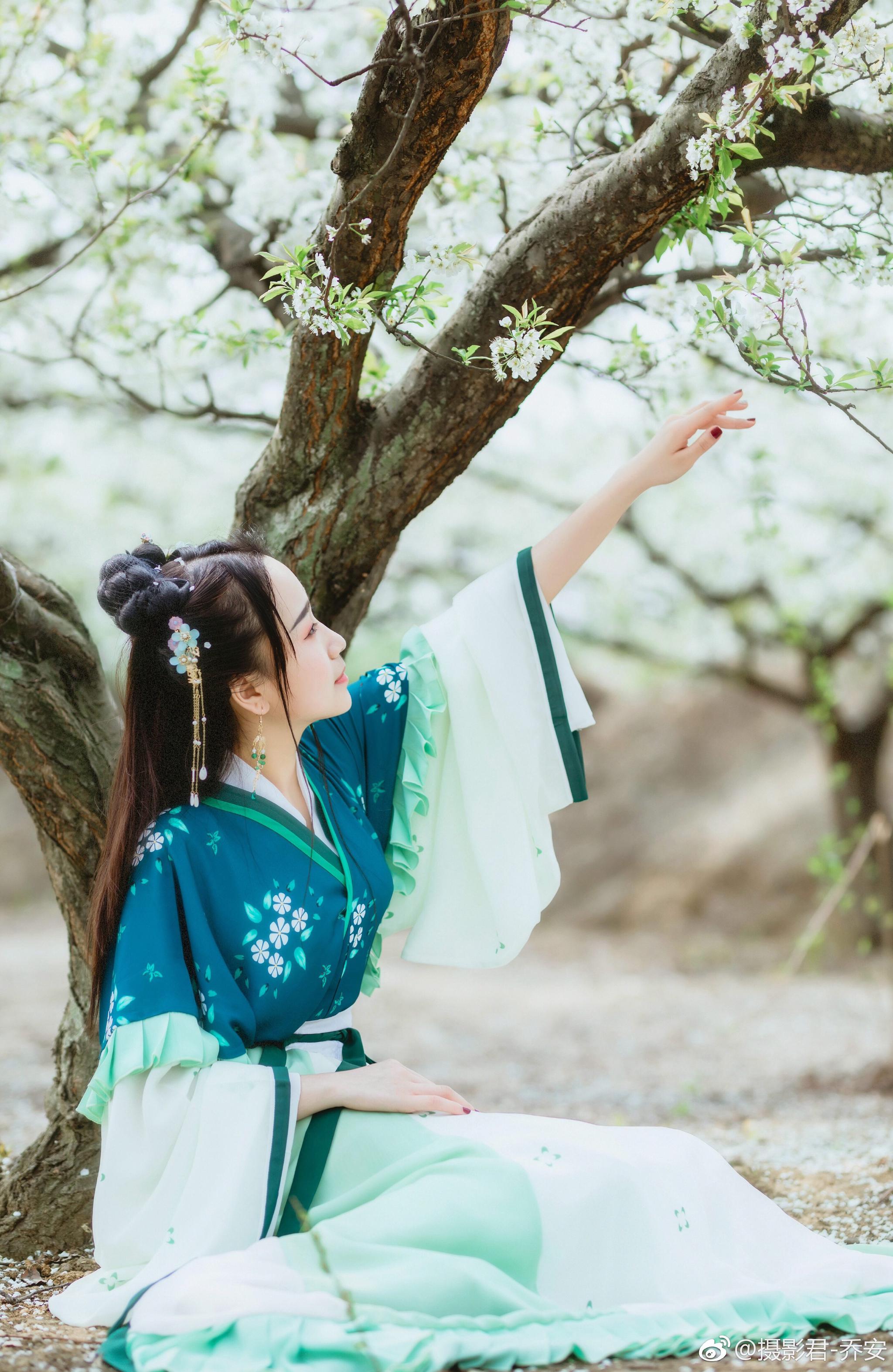 梨花落|乔安|摄影|古风_新浪新闻