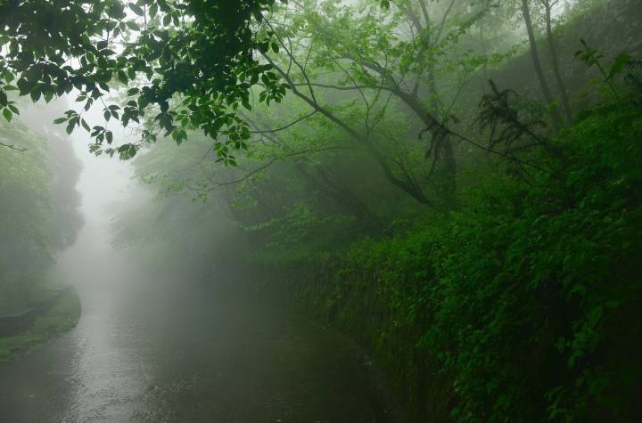 山路元无雨,空翠湿人衣。|山路_新浪新闻