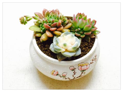 媳妇花600元买了一个榴莲!拿回家后,大家惊了,这能吃吗?