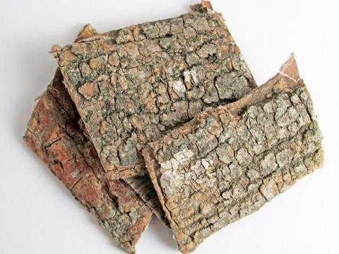 农村这种树木树皮, 有绝缘绝热作用, 而且还是一种名贵中药|杜仲|树皮|树木_新浪新闻