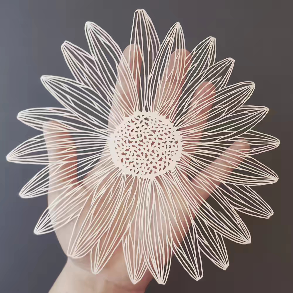 来自"pippa dyrlaga "的创意剪纸艺术作品.