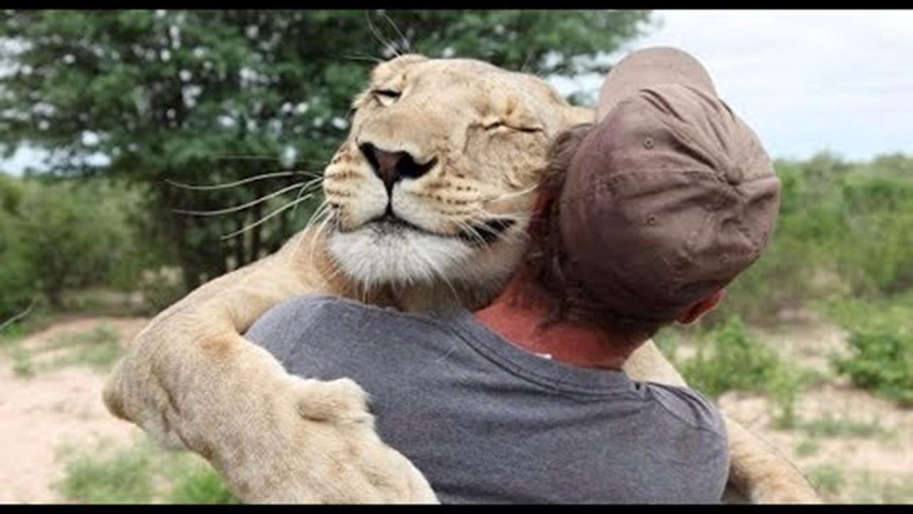 10个动物救人的感人故事!