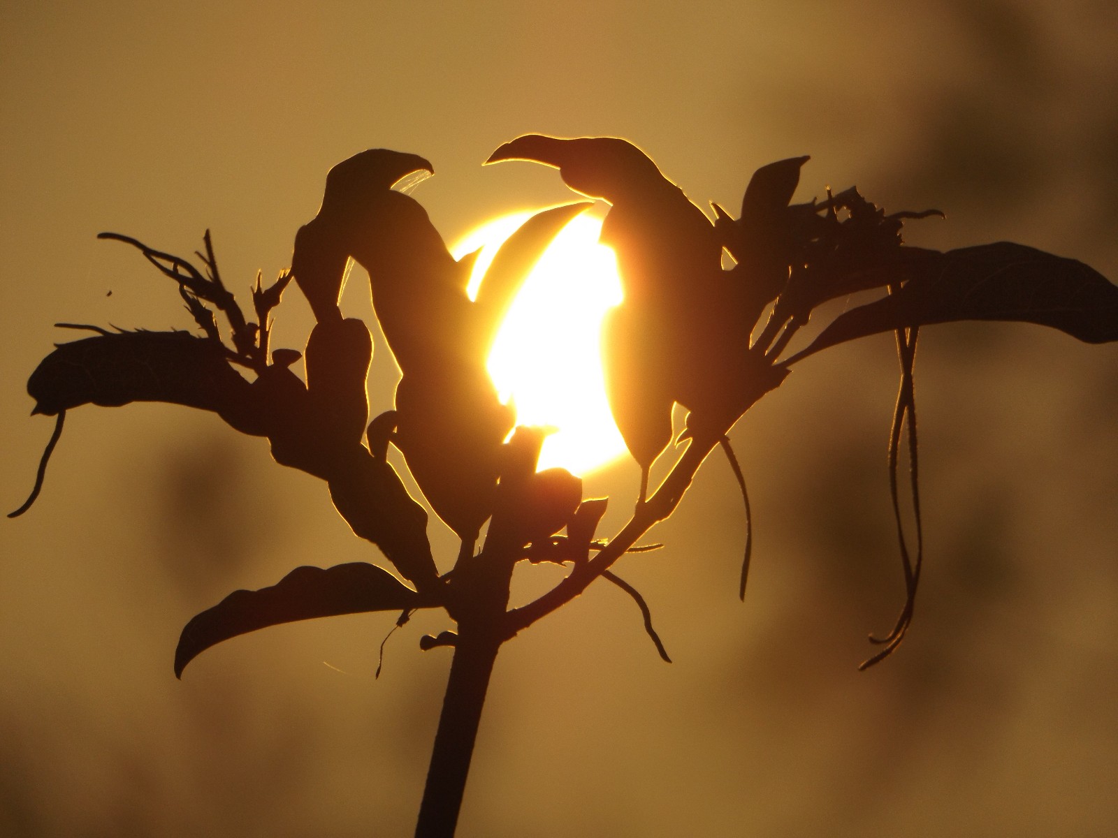 善良阳光就无处不在——山人山人正能量原创摄影作品