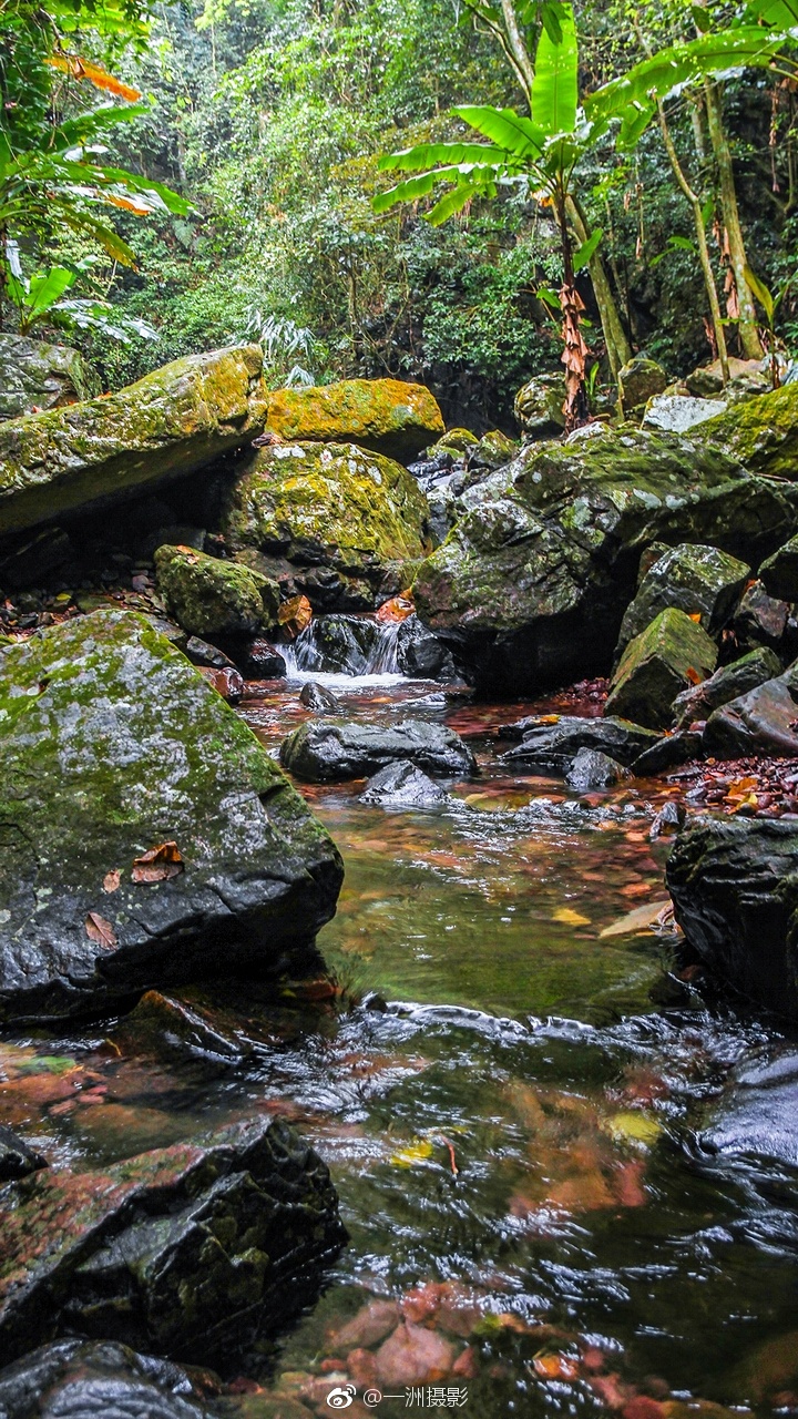 看到了解!来宾市晚上哪个巷子有那个?本地人真实经历与生活观察