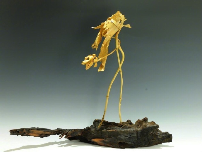 秋人的竹雕艺术