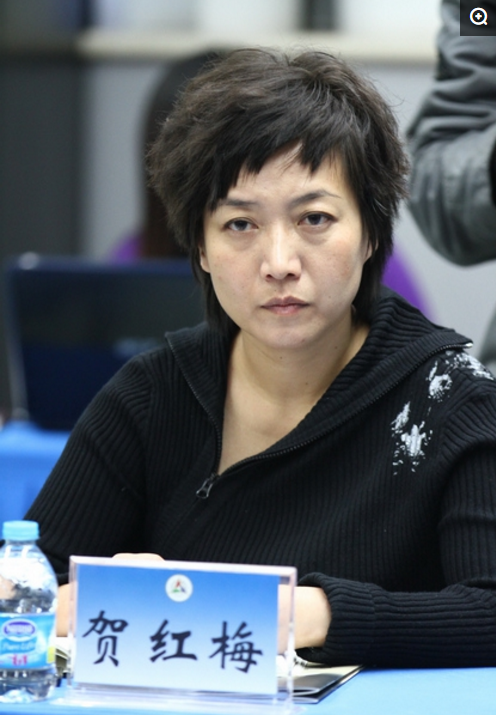 搭档"央视一哥 天安门直播主持 历史第一人|央视|天安门|贺红梅_新浪