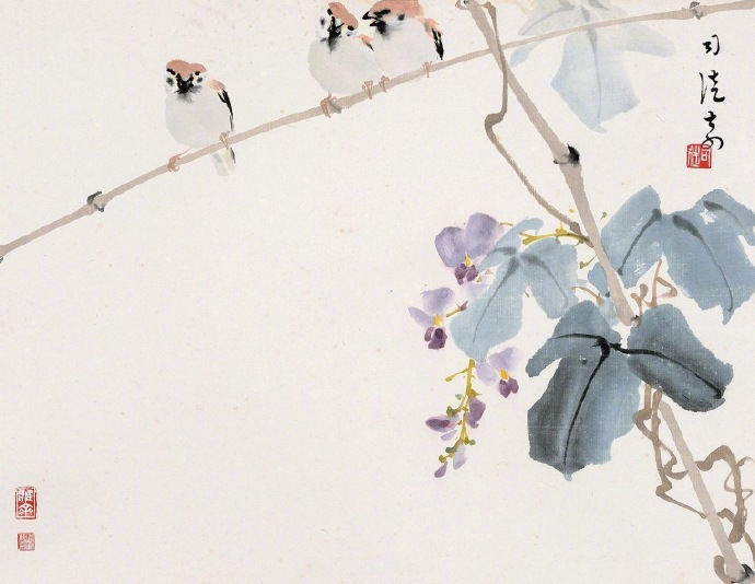 司徒奇 · 花鸟欣赏 …|花鸟|司徒奇_新浪新闻