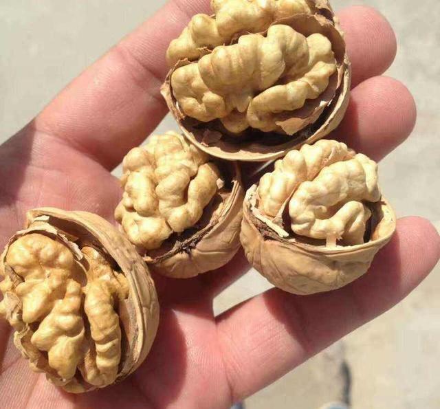 脱核桃皮小技巧,一学就会,吃着爽