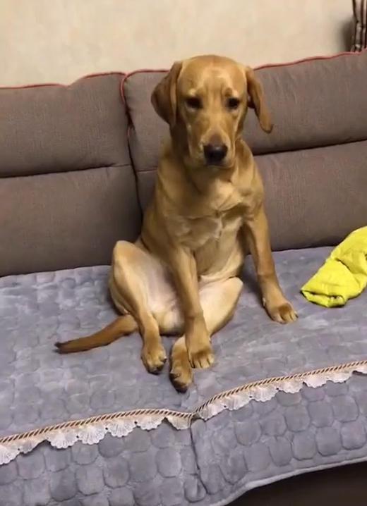 网友凌晨回家,发现沙发上坐了个人,表情恐怖吓得腿软