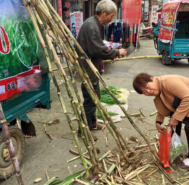 爷卖这种甜庶杆五元一根90后几乎都没见过