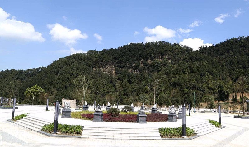 太极广场练太极 养生休闲好憩息