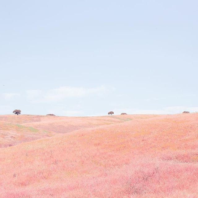 愿你每天都能遇见温柔的风景ins:teresacfreitas