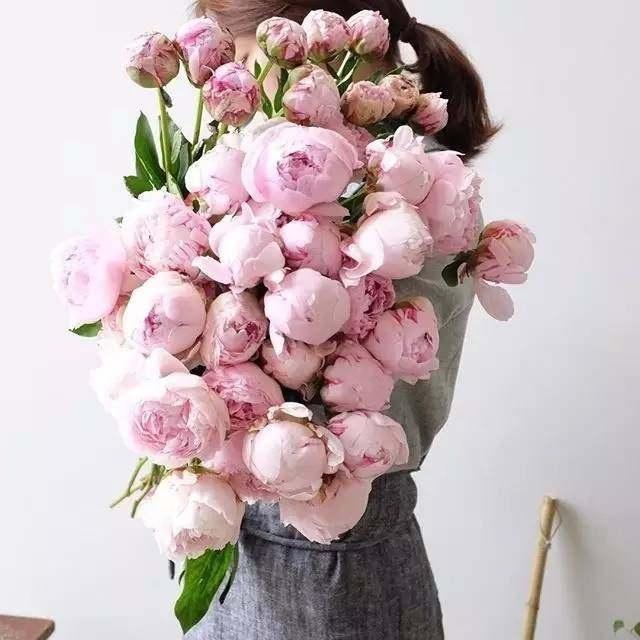 七夕献礼:爱花的女人,运气都不会差!