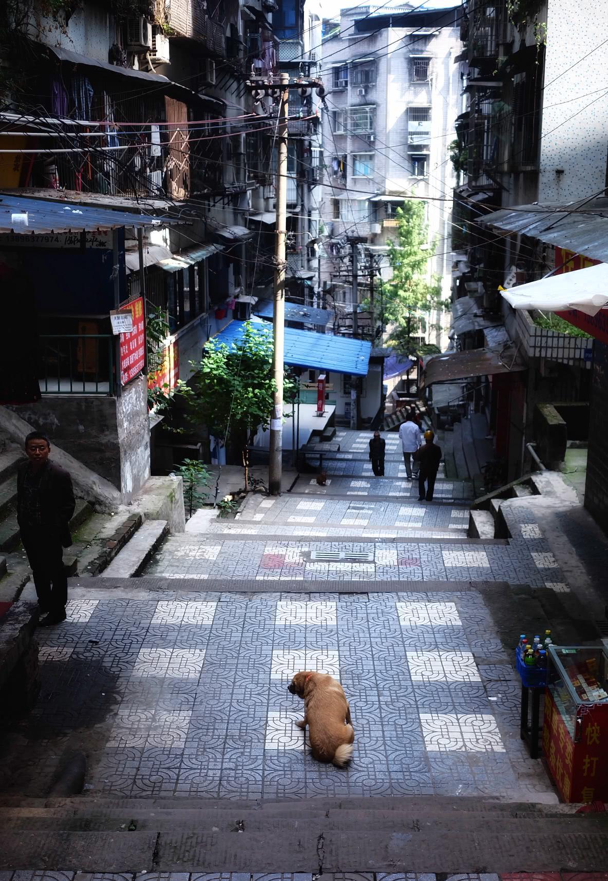 走进万州这些不知名的小巷子,静享美好慢时光!