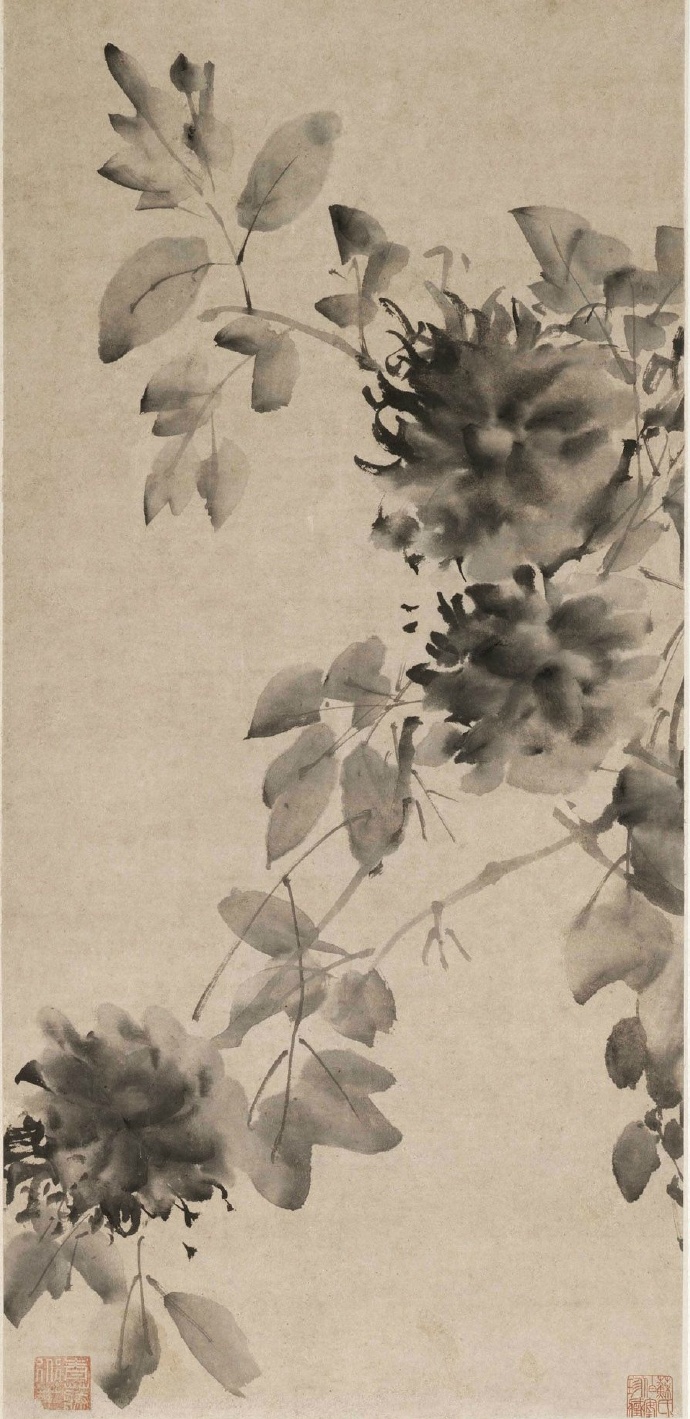 徐渭水墨牡丹图轴牡丹是徐渭最喜欢画的花卉之一