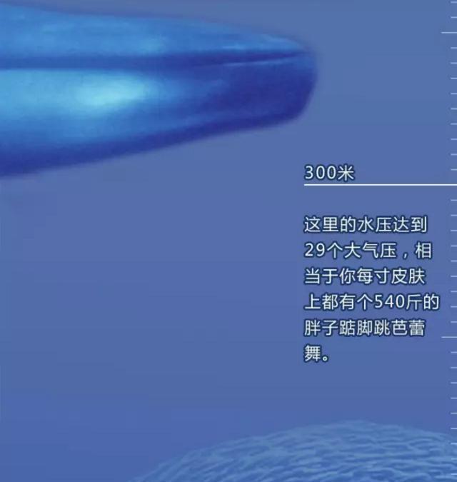 深海恐惧症勿点, 带你一起下潜深海一万米|深海|海洋|潜水艇_新浪新闻
