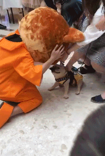这智商真让人捉急呀,不用鉴定都真的是纯的这就是亲爹带孩子,睡得那叫