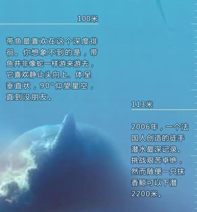 深海恐惧症勿点带你一起下潜深海一万米