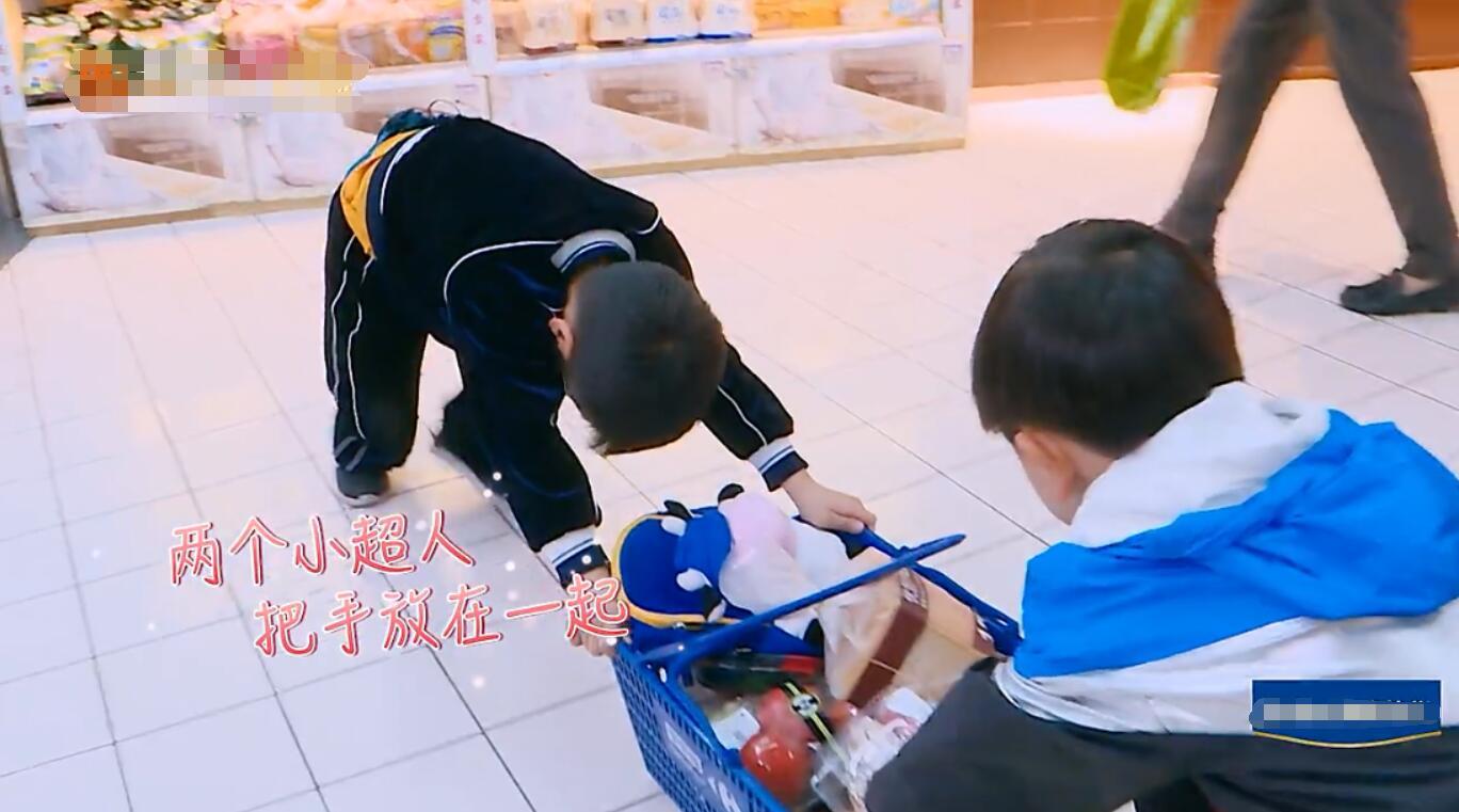 安迪大麟子逗趣互动暖心安迪和萌逗大麟子你会pick谁