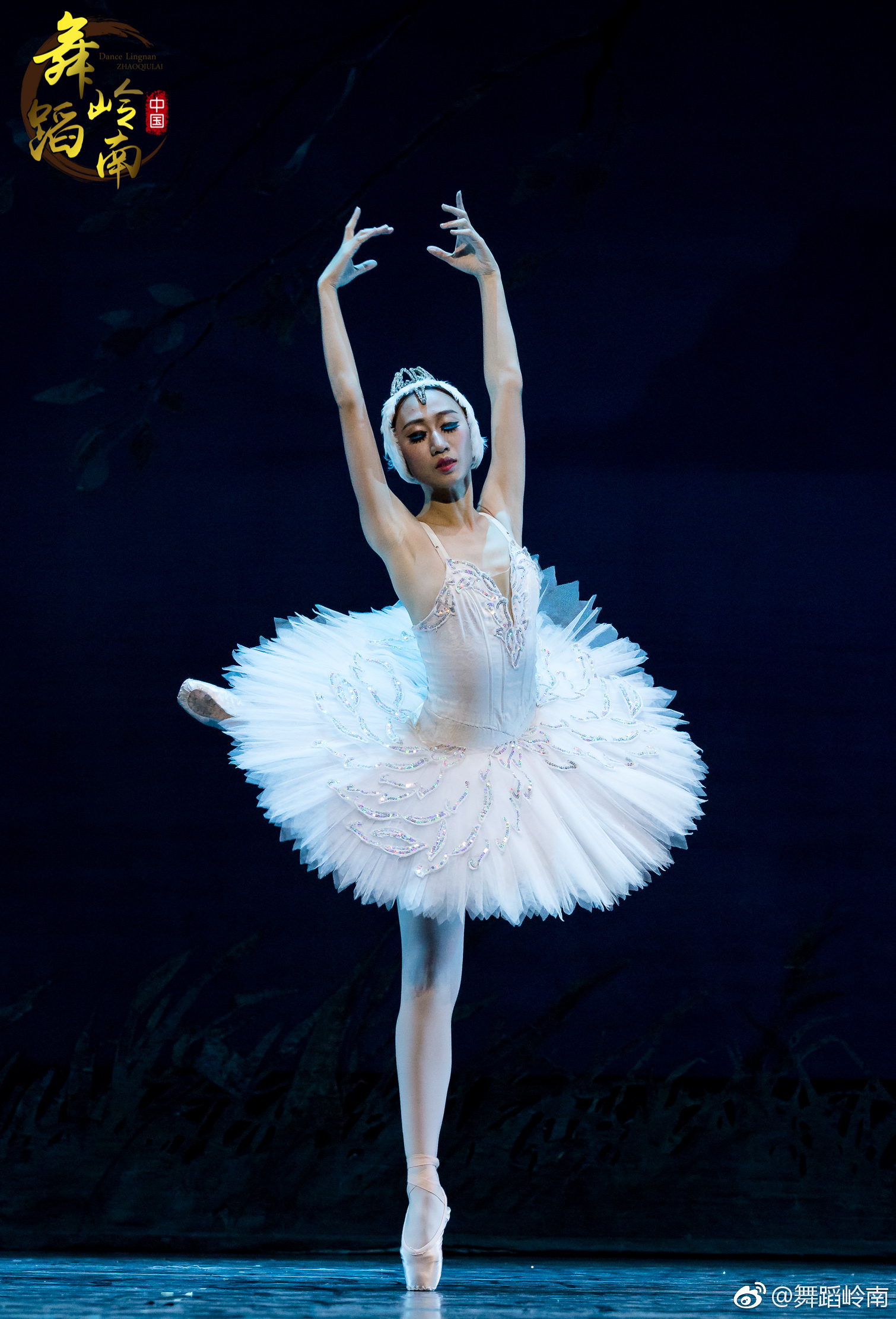 摄影@舞蹈岭南-赵秋来 又见湖畔  月夜湖畔天鹅们陷入深深的