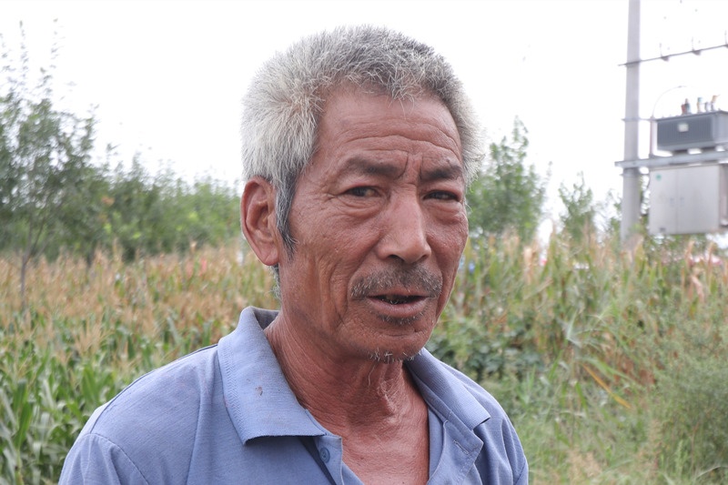 农村小生意,前两个日销均超3000元,最后一个最有价值|包子|大叔|铁匠