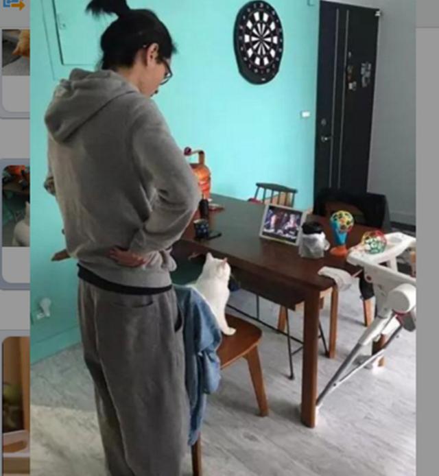 猫咪沉迷追剧无法自拔,蹲椅子上不肯离开,主人一脸无奈