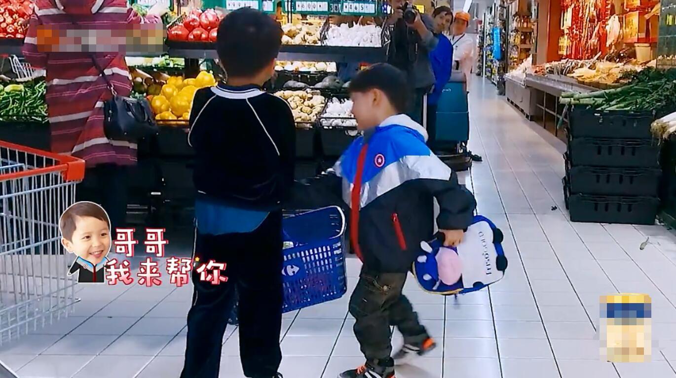 安迪大麟子逗趣互动暖心安迪和萌逗大麟子你会pick谁