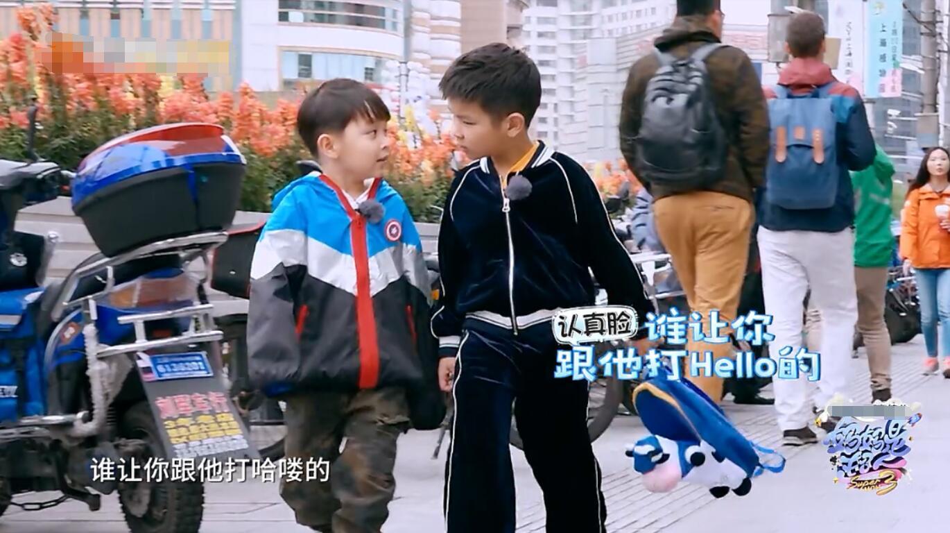 安迪大麟子逗趣互动暖心安迪和萌逗大麟子你会pick谁