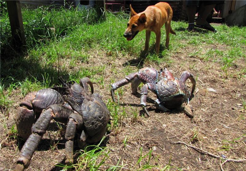 直击在这里不讲钱不看脸最要紧是有双洞察危险的眼