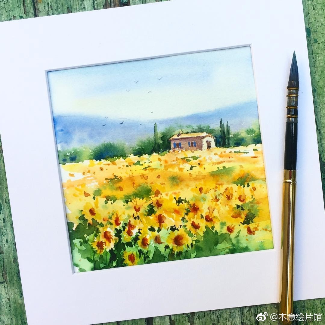 送你一份水彩花海. | ins:dnprovence