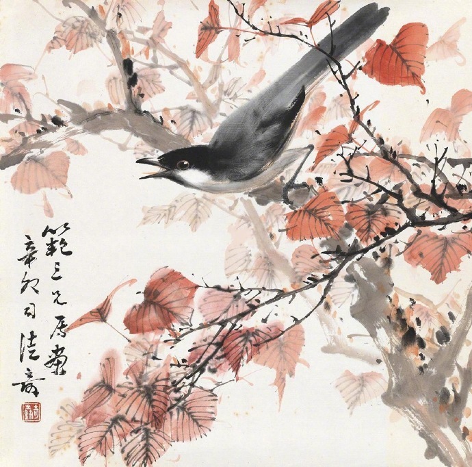 司徒奇 · 花鸟欣赏 …|花鸟|司徒奇_新浪新闻