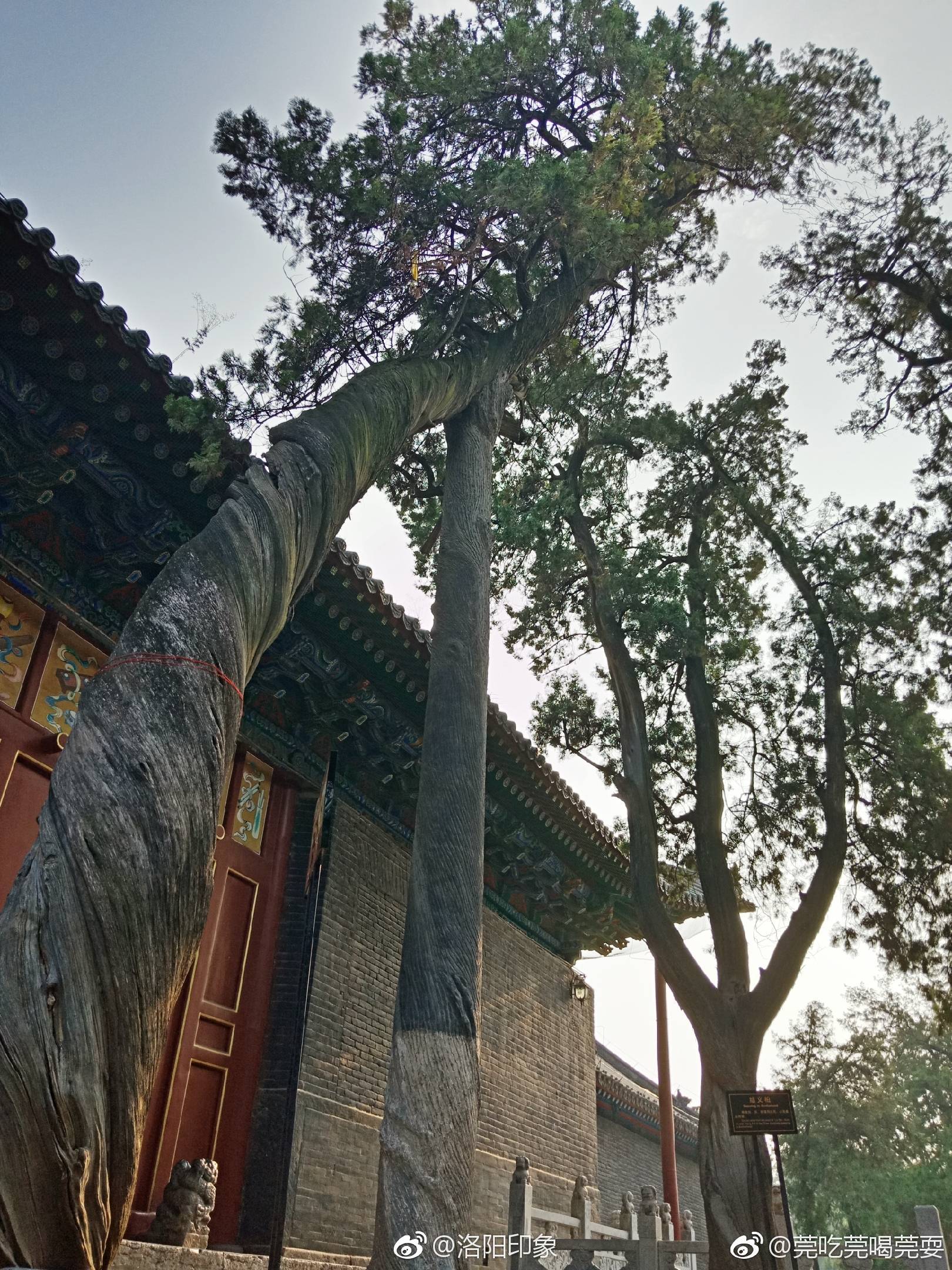 洛阳印象之关林