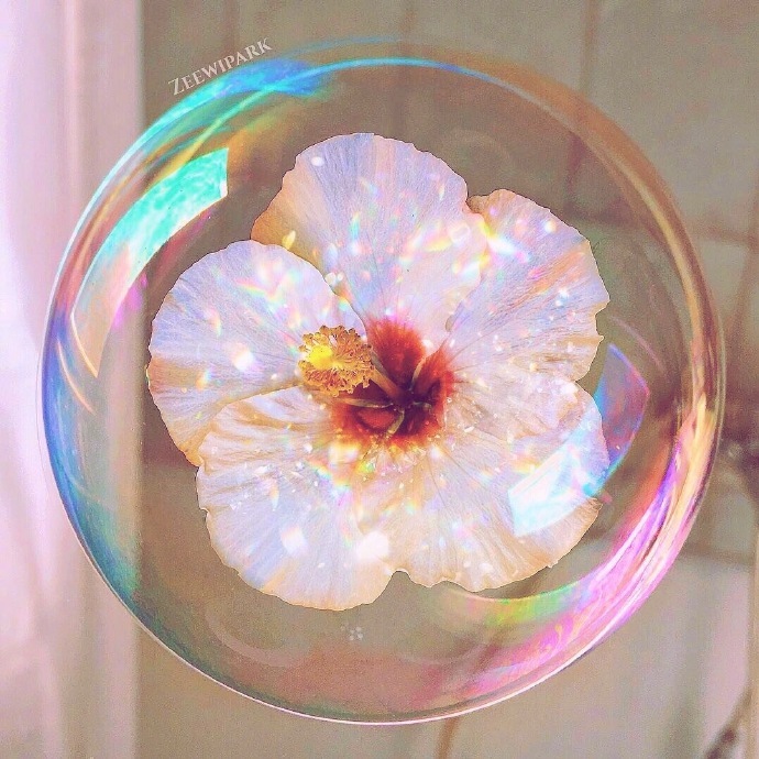 幸运的人会看到这组魔法泡泡 并且遇见久违的惊喜