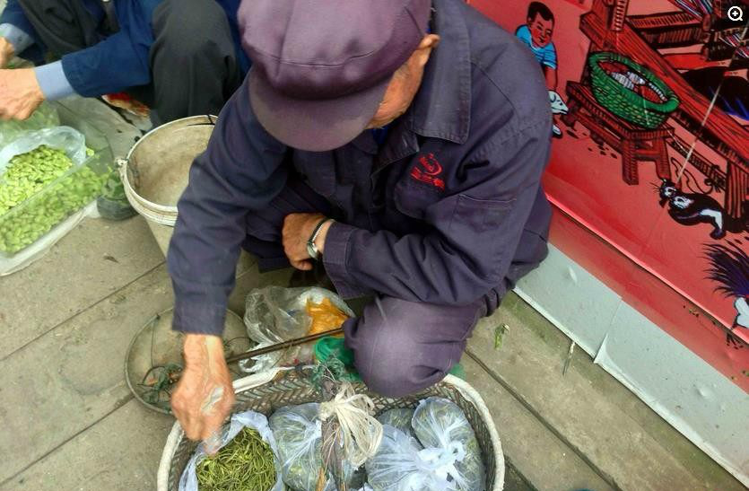 农村大爷路边卖这一篮子最鲜的水野菜,曾经挖三天却卖不到一百元|野菜