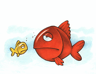 335_260gif 动态图 动图