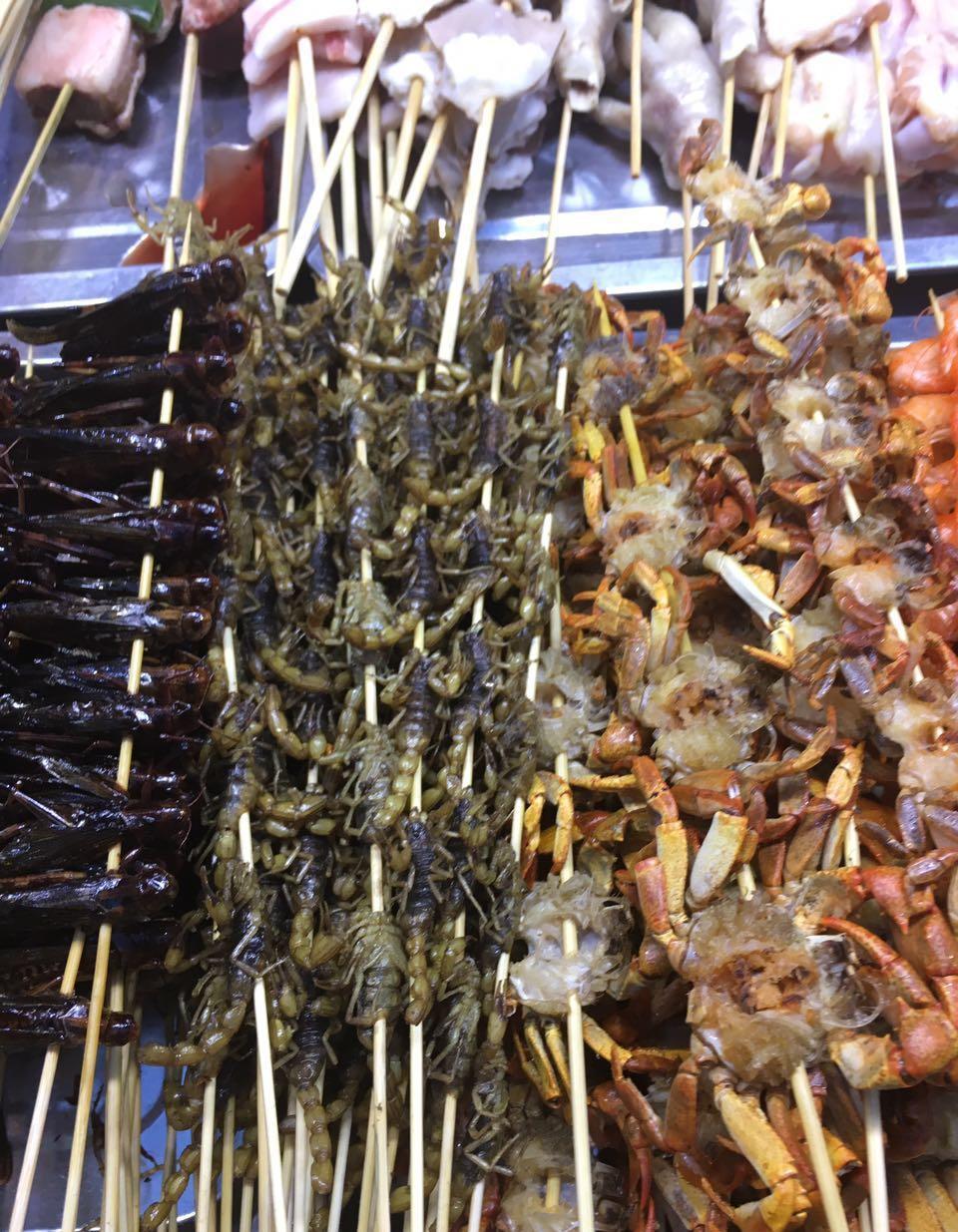 这些虫子看着吓人, 5元一串吃货却排起了长队